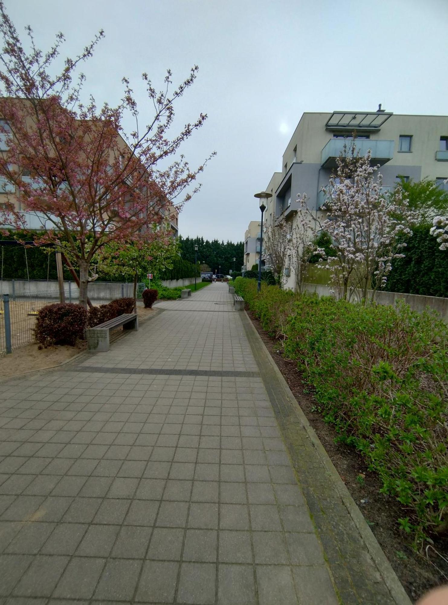 Apartament 1E Barbakan Στσέτσιν Εξωτερικό φωτογραφία